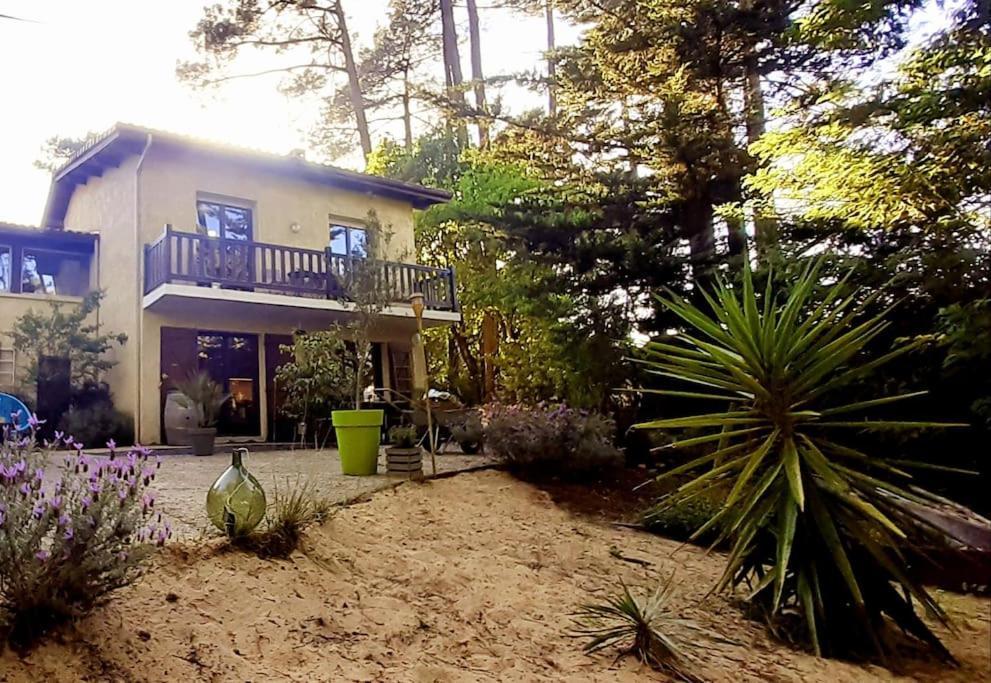 Mon Petit Coin Sous Les Pins Villa La Teste-de-Buch Eksteriør bilde